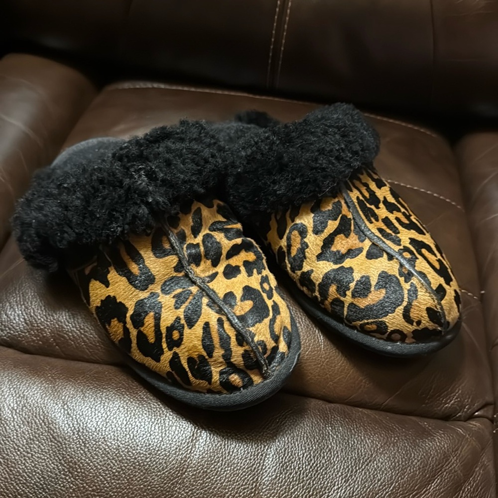Cheetah uggs